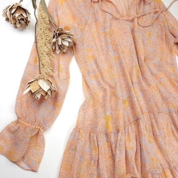 Illa Illa Peachy Paisley Boho Sheer Lined Dress Size S - Picture 5 of 12
